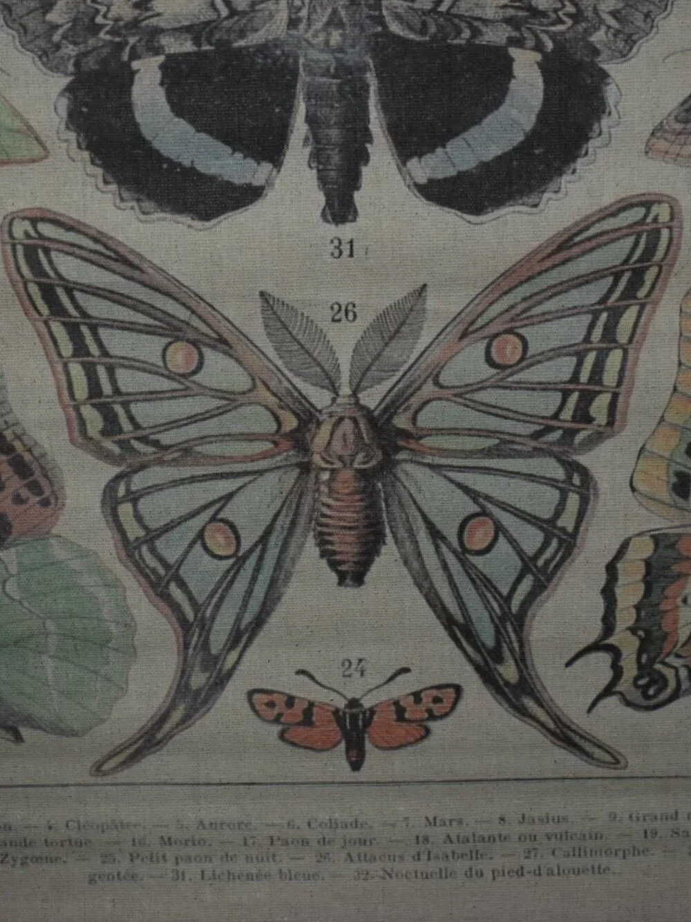 Butterfly Moth Large Linen Canvas Scroll Tapestry Boho Cottagecore Wall Decor